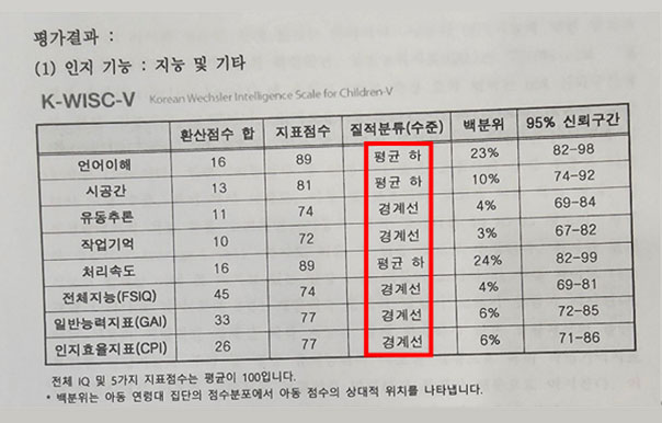 나영이 심리학적 평가 보고서