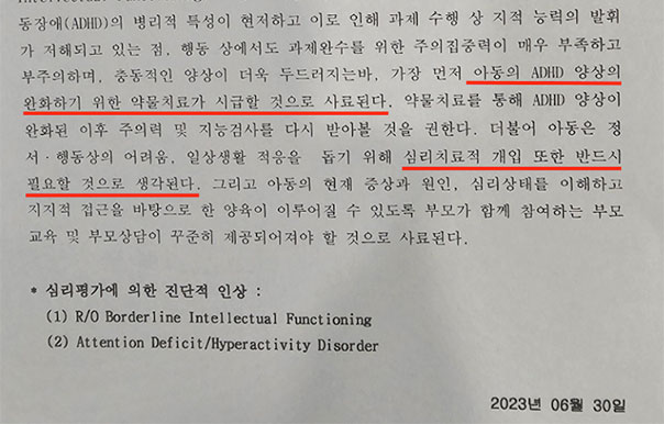 나영이 심리학적 평가 보고서